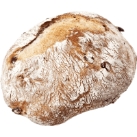 Illustration av Gourmet tranbär