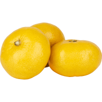 Illustration av Satsumas