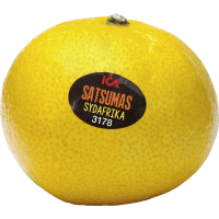 Illustration av Satsumas