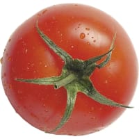 Illustration av Svenska tomater