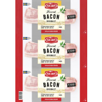 Illustration av Bacon