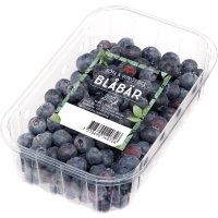 Illustration av Blåbär i ask