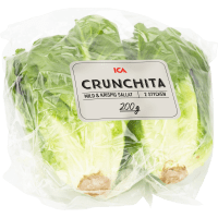 Illustration av Crunchitasallat i påse