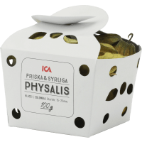 Illustration av Physalis i ask