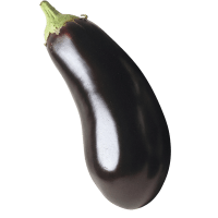 Illustration av Aubergine