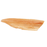 Illustration av Färsk laxsida