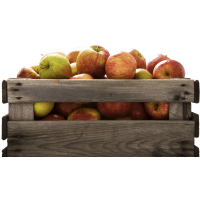 Illustration av Svenska äpplen