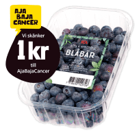 Illustration av Blåbär i ask