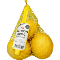 Illustration av Citroner i nät