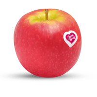 Illustration av Äpplen Pink Lady