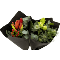 Illustration av Julbukett med amaryllis