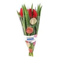 Illustration av Tulpaner 12-pack