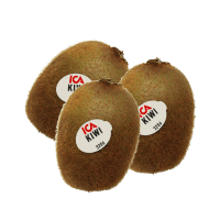 Illustration av Stor grön kiwi