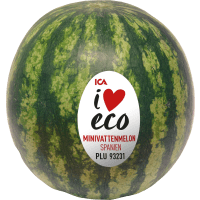 Illustration av Ekologiska minivattenmeloner