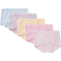 Illustration av Underkläder 5-pack