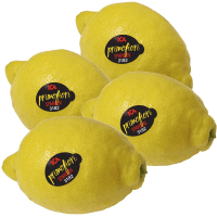 Illustration av Citroner