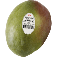 Illustration av Mogen mango