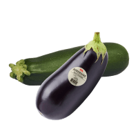 Illustration av Aubergine, Zucchini