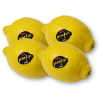 Illustration av Citroner