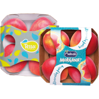 Illustration av Äpplen Morgana och Tessa 4-pack