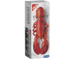 Illustration av Fryst Hummer