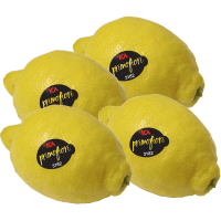 Illustration av Citroner