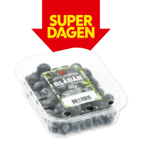 Illustration av Blåbär i ask