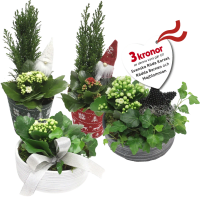 Illustration av Julgrupper