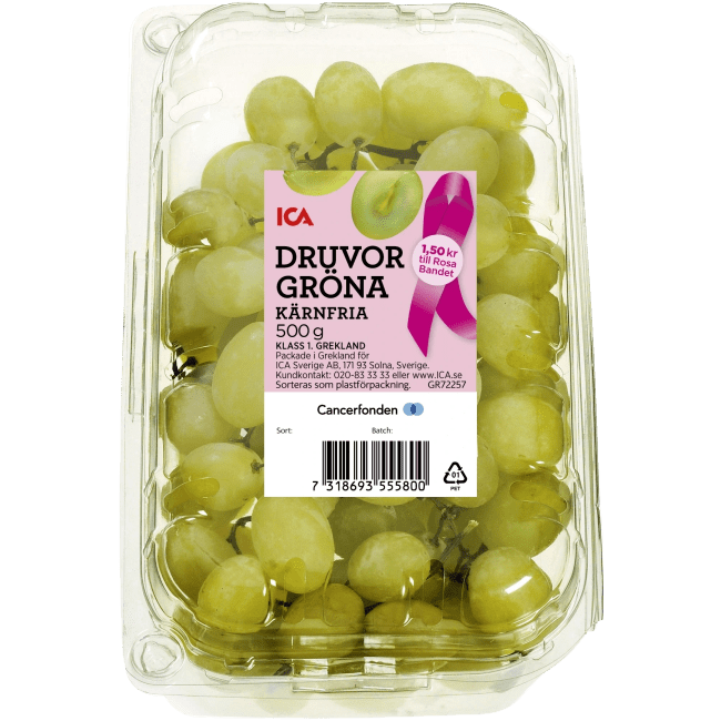 Illustration av Gröna kärnfria druvor i ask