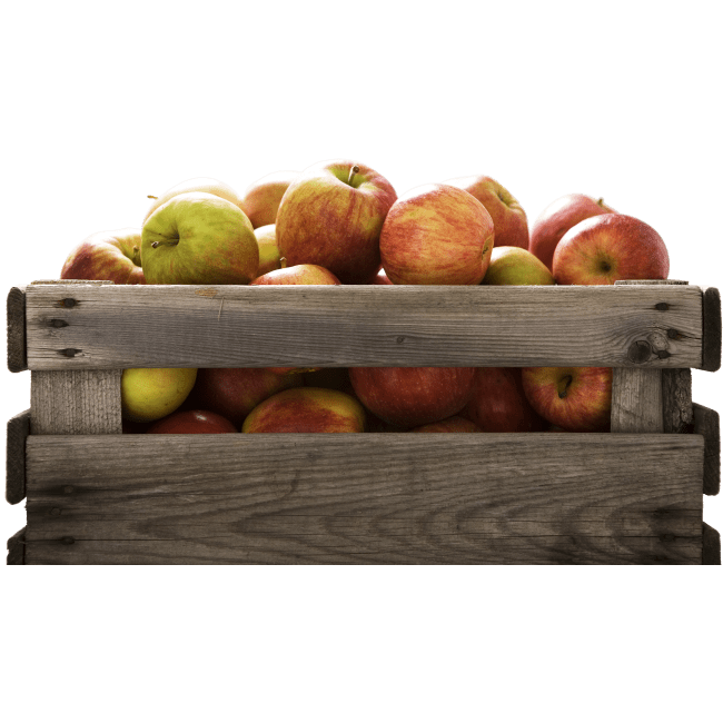 Illustration av Svenska äpplen