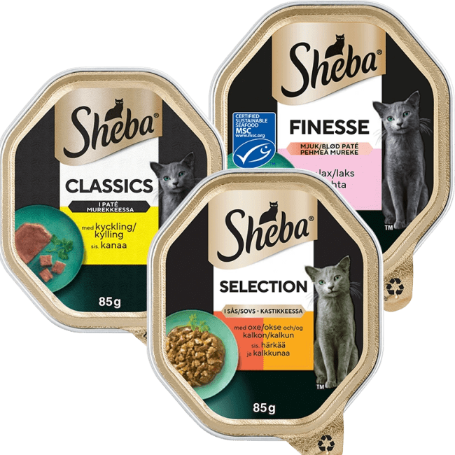 Illustration av 30% på kattmat våt enportion