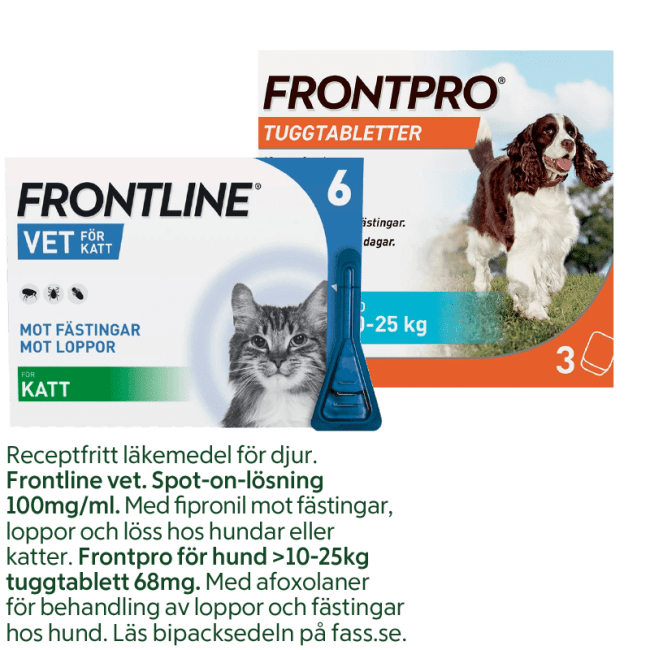 Illustration av 20% på Frontline och Frontpro