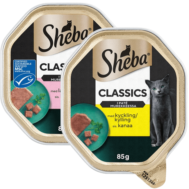 Illustration av 30% på kattmat våt enportion