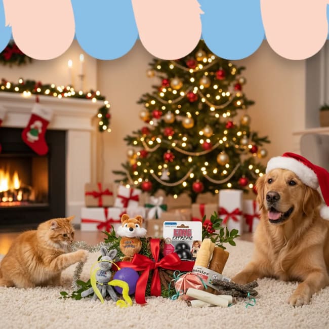 Illustration av 20% på alla katt- och hundleksaker