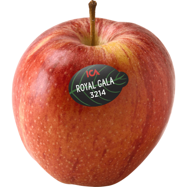 Illustration av Äpplen Royal Gala