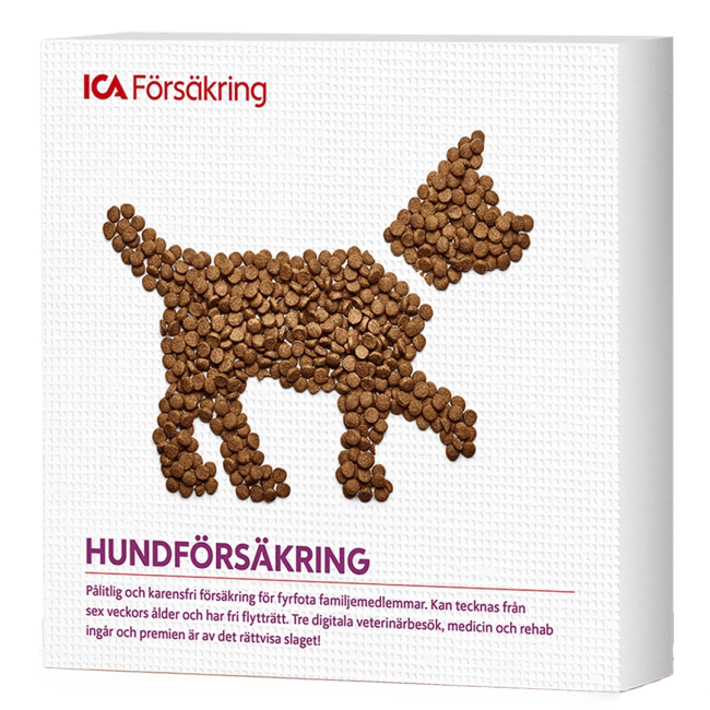 Illustration av Hundförsäkring – 400 kr i bonus