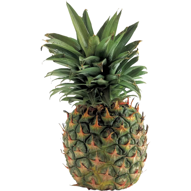 Illustration av Extra söt ananas