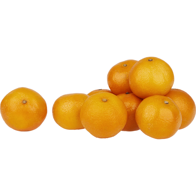Illustration av Småcitrus Nadorcott