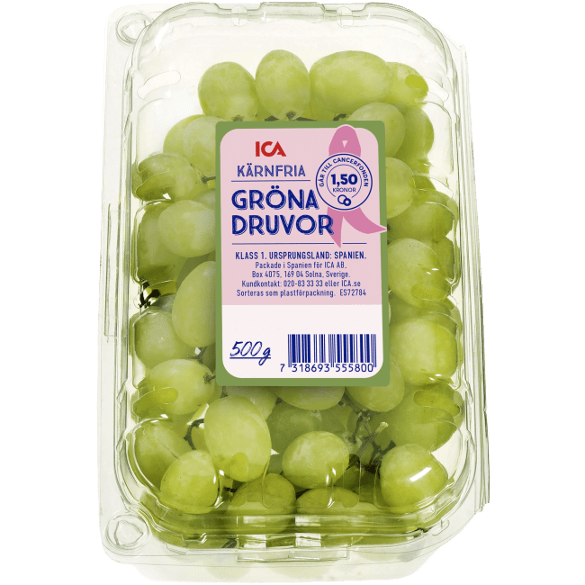 Illustration av Gröna kärnfria druvor i ask