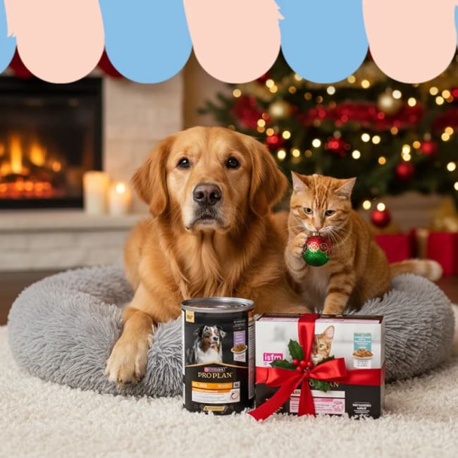 Illustration av 40% på våtfoder från Purina Pro Plan*