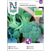 Broccoli Calabrese Natalino 1-p Nelson Garden.