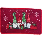 Dörrmatta 4 tomtar 50X80.