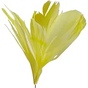 Fjäderblomma gul 10cm 5-p Festive.