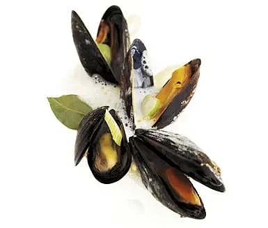 Ångkokta musslor med körvel