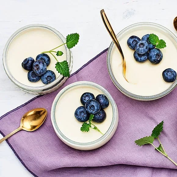 Pannacotta med yoghurt och blåbär