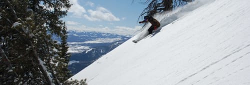 Skidåkare nedför fjällbacke