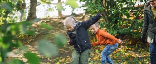 Barn som leker i skogen
