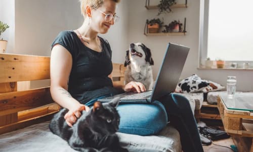 En kvinna sitter i en soffa med en dator i knät tillsammans med en katt och en hund.