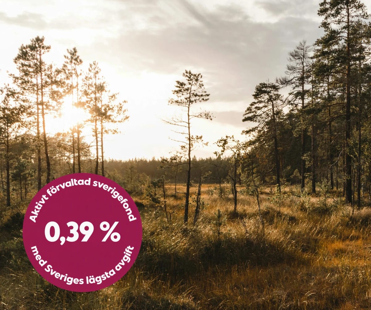Erbjudanden för dig som är bankkund