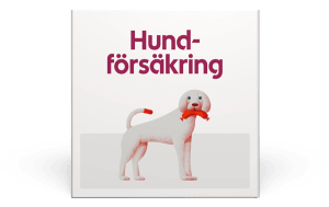 Produktbox med hundförsäkring.